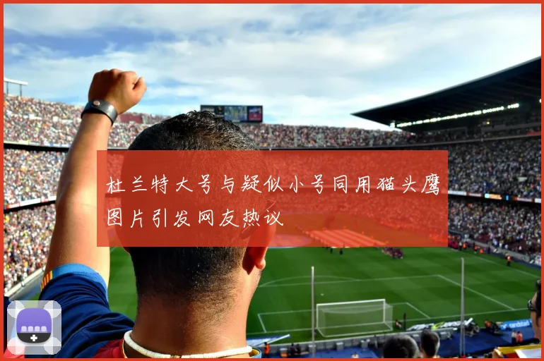 杜兰特大号与疑似小号同用猫头鹰图片引发网友热议