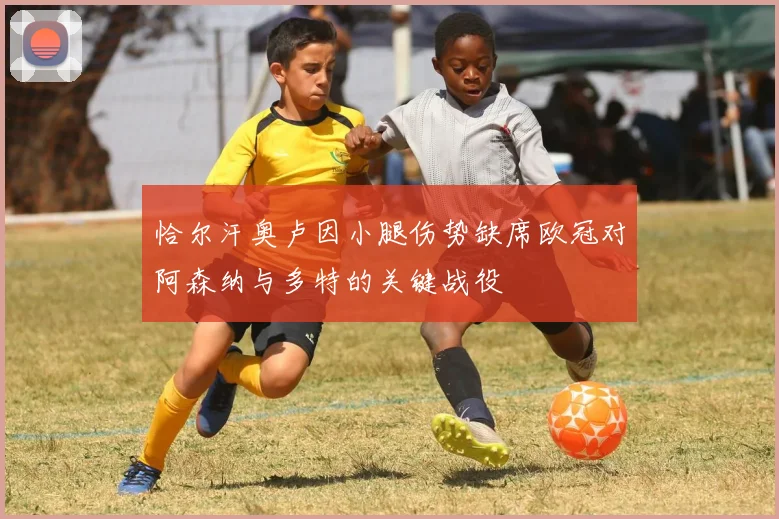 恰尔汗奥卢因小腿伤势缺席欧冠对阿森纳与多特的关键战役