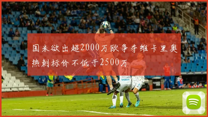 国米欲出超2000万欧争夺维卡里奥热刺标价不低于2500万